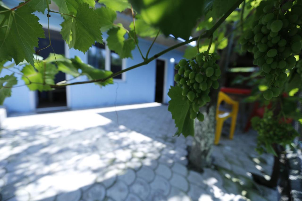 Lilia Guesthouse Sighnaghi Exteriör bild
